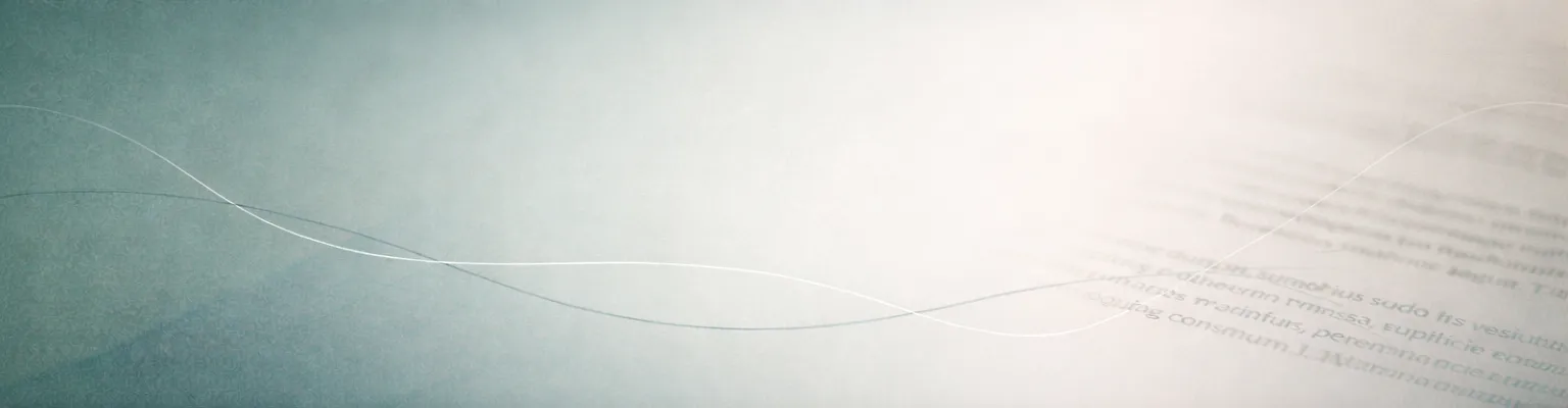 Header of NedEs Vertaaldiensten Nederlands-Spaans